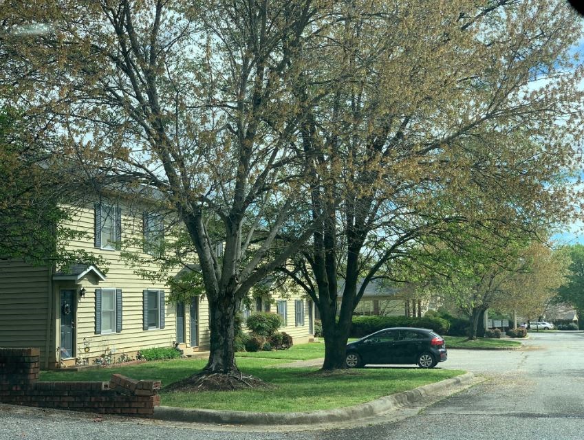 a car parked on the side of a street