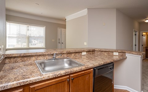 A kitchen with a granite countertop and a dishwasher.