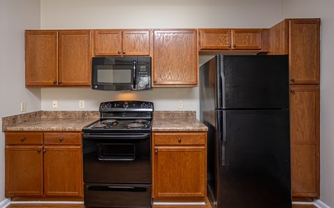 A kitchen with a black refrigerator and stove.