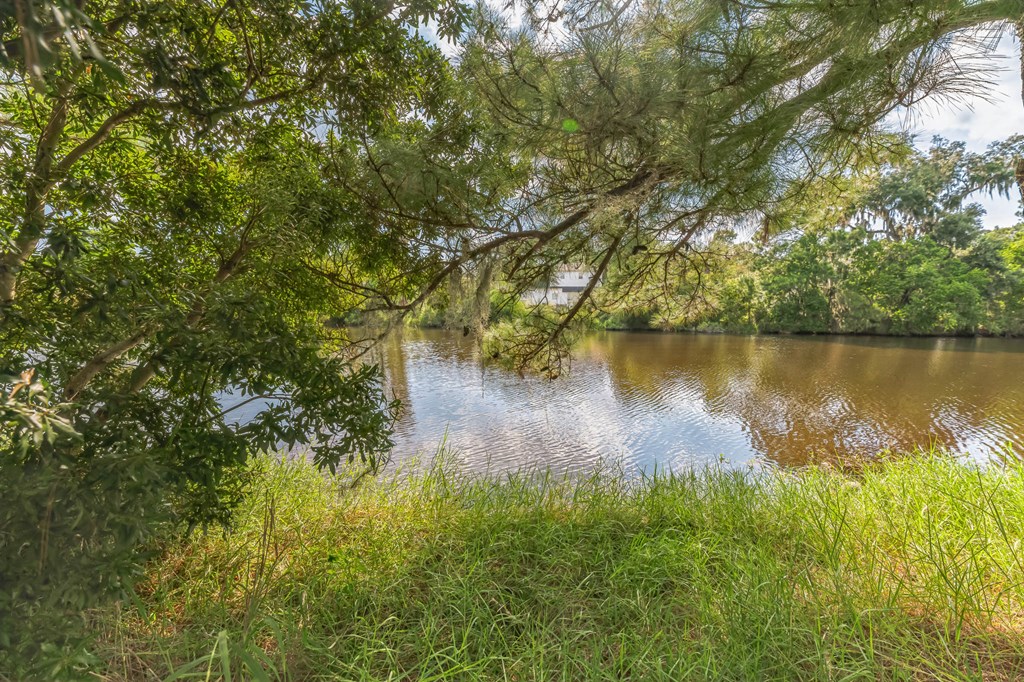 a view of a river with a tree hanging over it