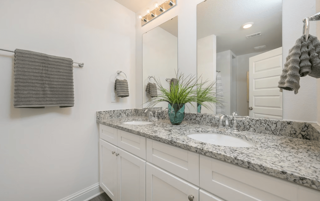 a bathroom with two sinks and a large mirror