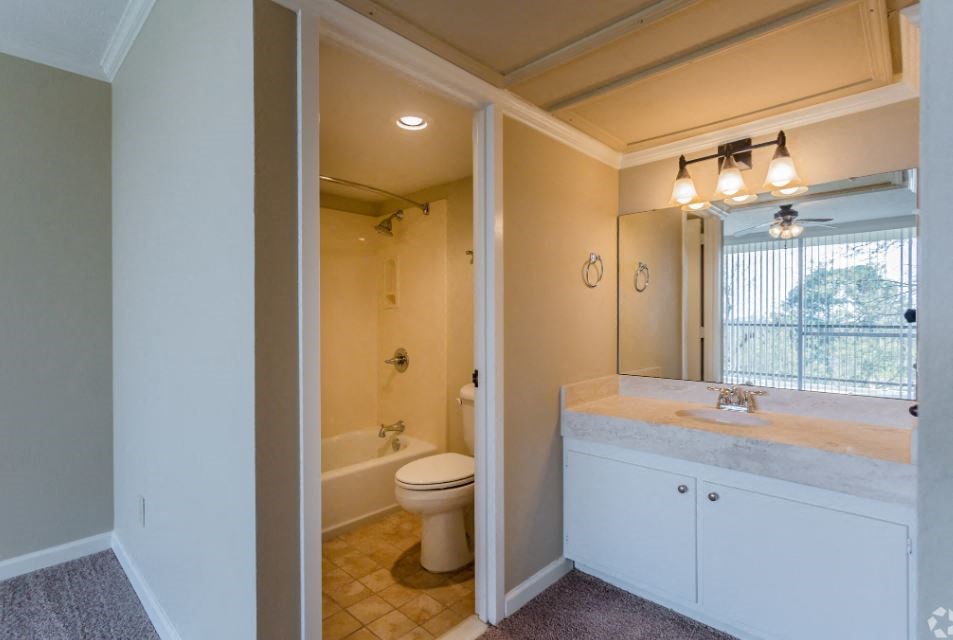 a bathroom with a toilet and a sink and a mirror