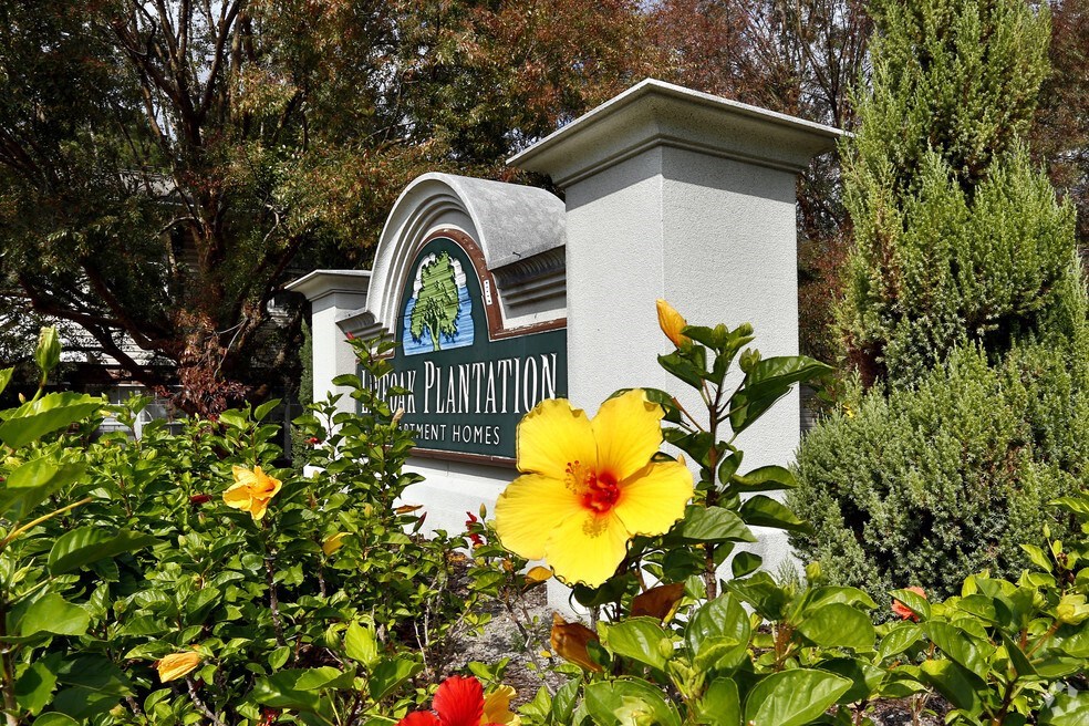 a yellow and red flower in front of a sign