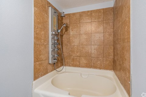 a bathroom with a bathtub and a shower