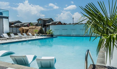 a large swimming pool with lounge chairs and a palm tree