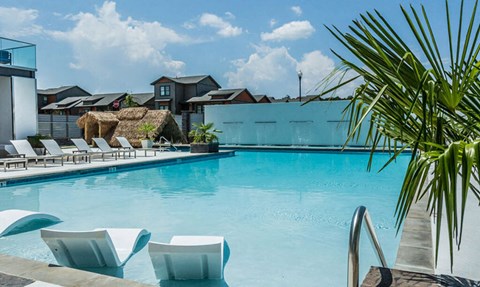 a large swimming pool with lounge chairs and a palm tree