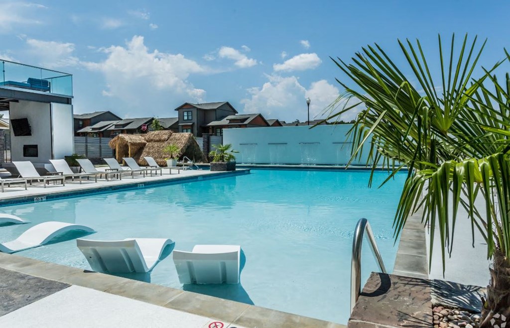 a swimming pool with chaise lounge chairs and a palm tree