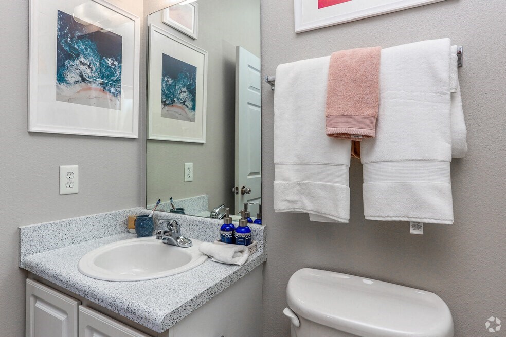 a bathroom with a sink and a toilet and a mirror