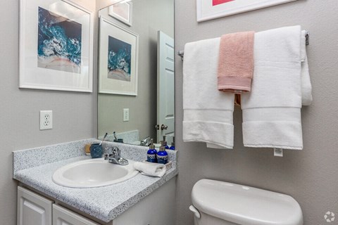 a bathroom with a sink and a toilet and a mirror