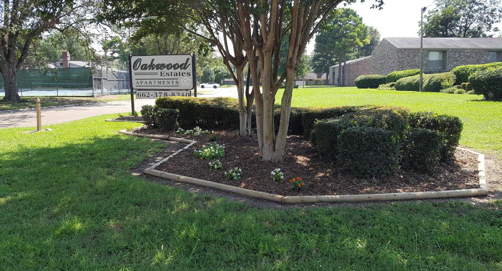 a garden with a tree and bushes in front of a building
