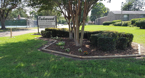 a garden with a tree and bushes in front of a building