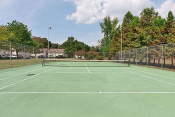 a tennis court with trees in the background