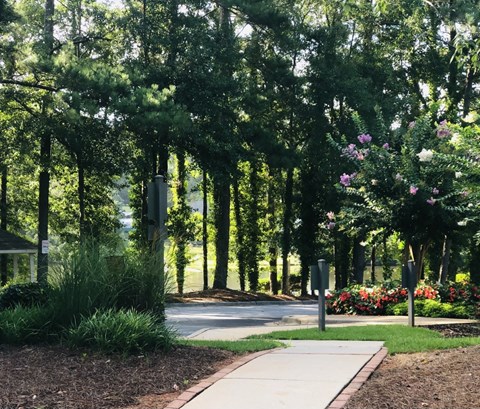 a path through a park with trees and flowers