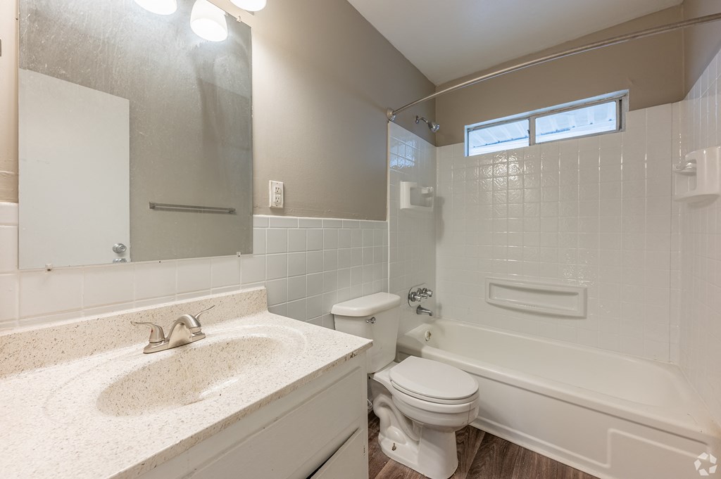 a bathroom with a sink and a toilet and a bath tub