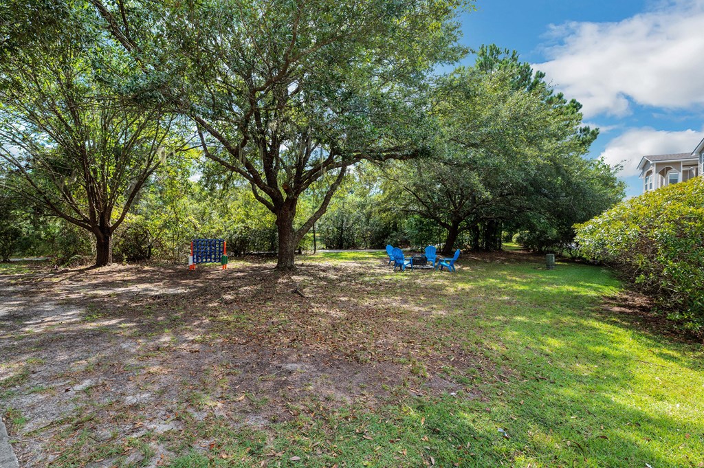 two blue benches in a park with trees