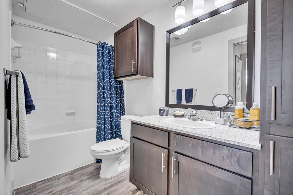 a bathroom with a shower toilet and sink and a mirror