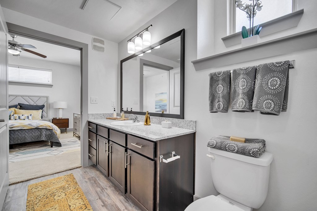 a bathroom with a toilet and a vanity with a mirror
