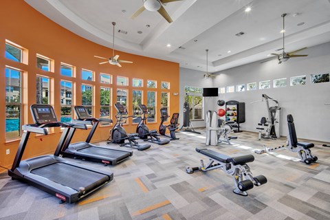 a gym with treadmills and other exercise equipment