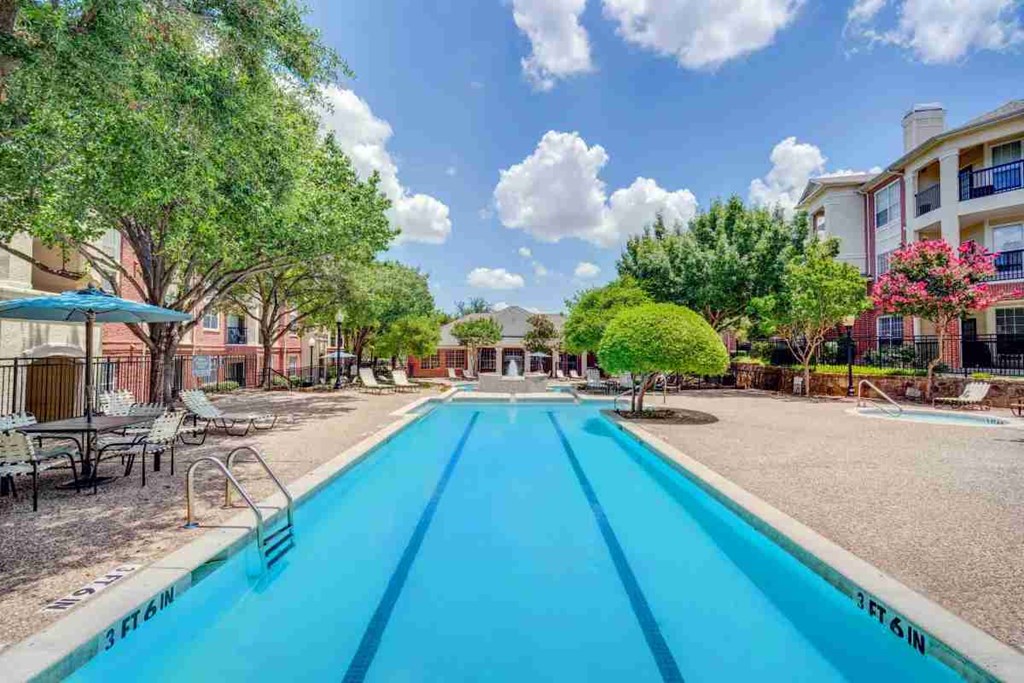 our apartments have a swimming pool and a courtyard with trees