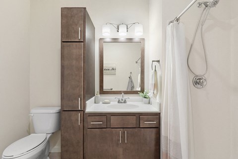 a bathroom with a sink and a shower and a toilet