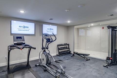 a gym with treadmills and weights and a tv on the wall