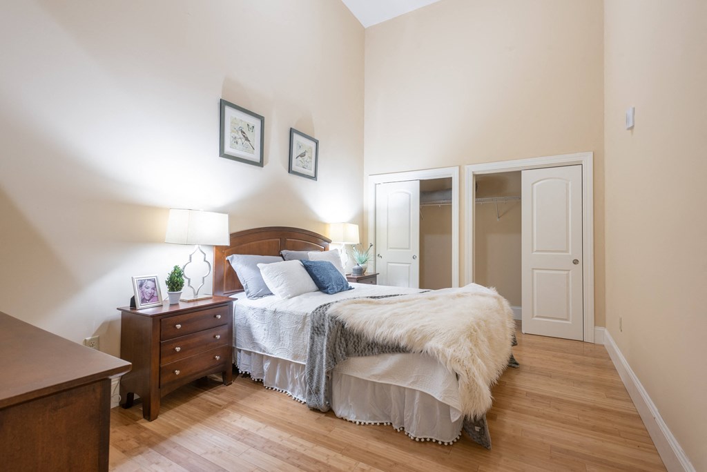 a bedroom with a bed and a dresser and a closet