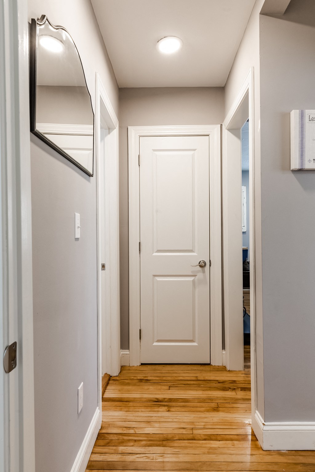 a hallway with a white door and hardwood floors