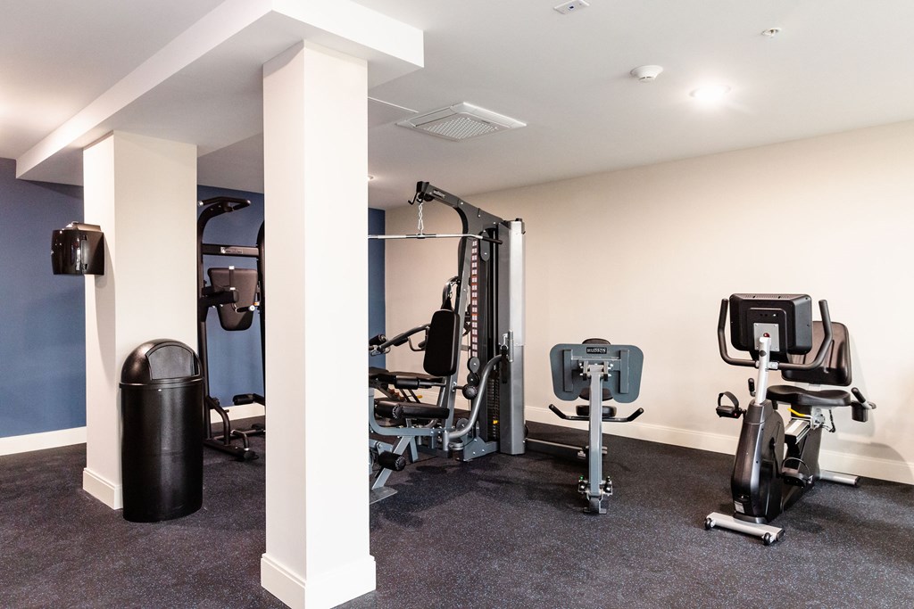 A gym with a rowing machine, a treadmill, a stationary bike, and a trash can.