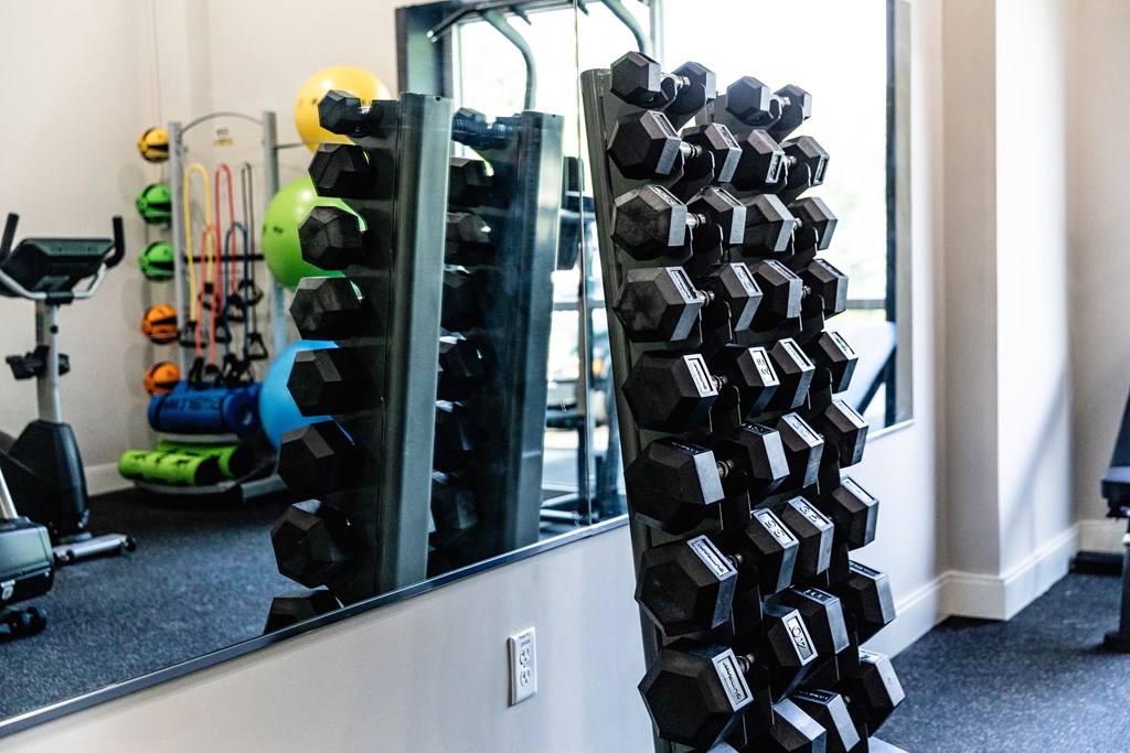 a rack of dumbbells in a gym