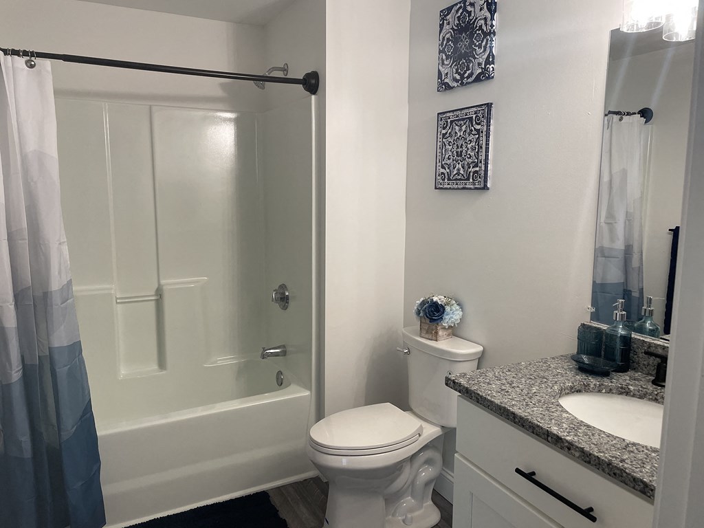 a bathroom with a shower and a toilet and a sink