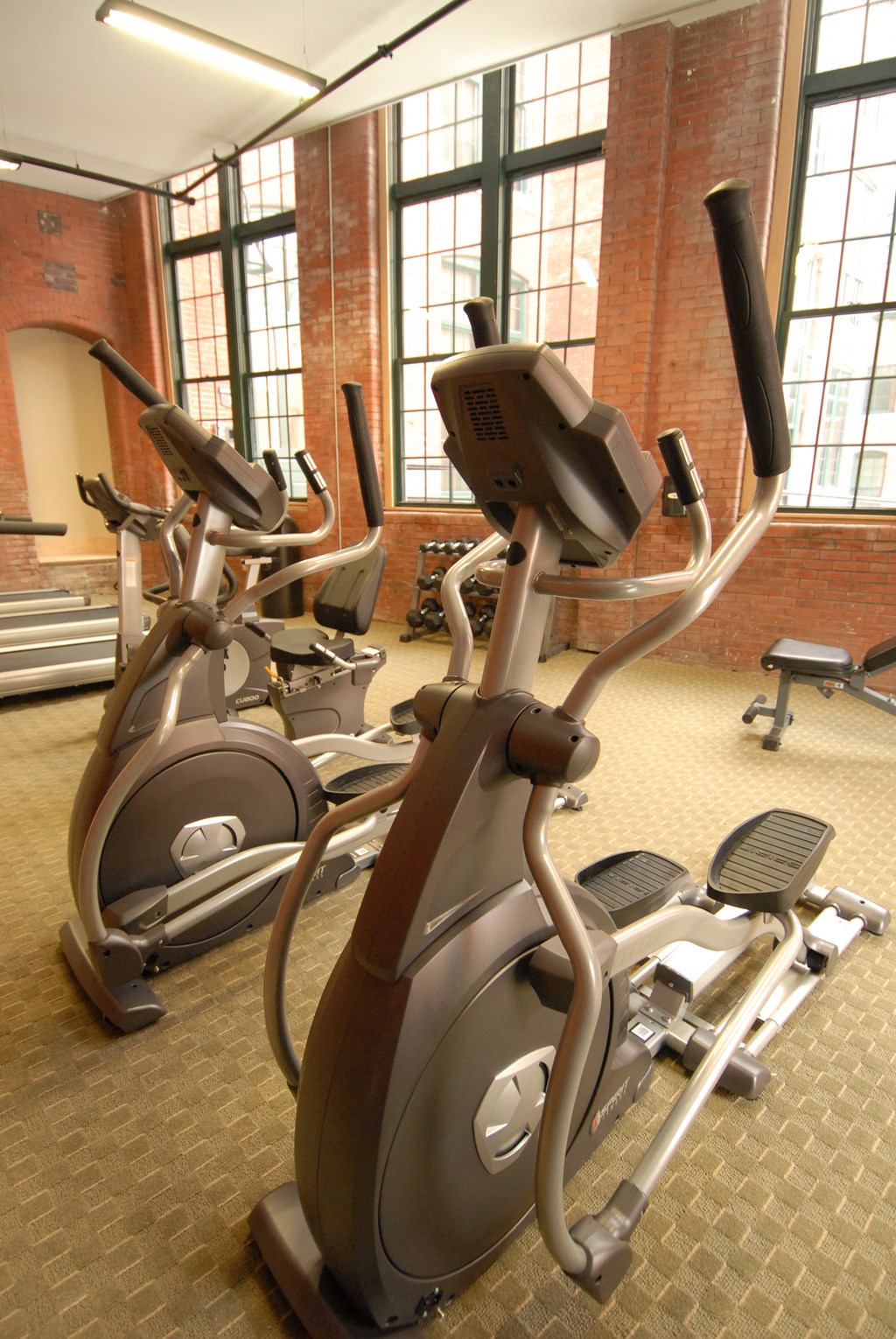 a row of exercise machines in a gym