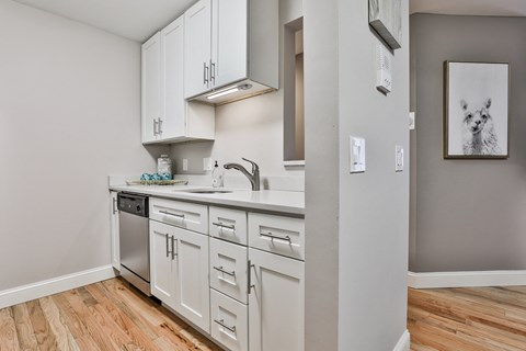 Kitchen Counter
