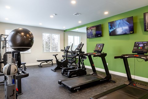 A gym with treadmills, exercise balls, and a bench.