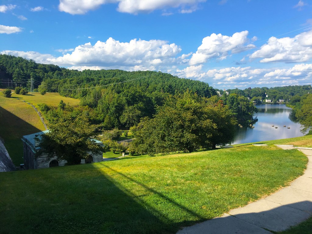 a view of a body of water and a hill with trees