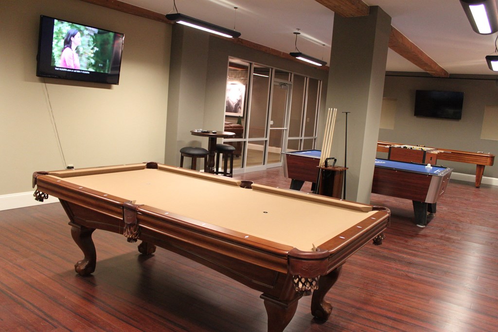 a game room with a pool table and a tv