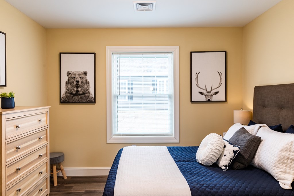 a bedroom with a bed and a dresser in front of a window