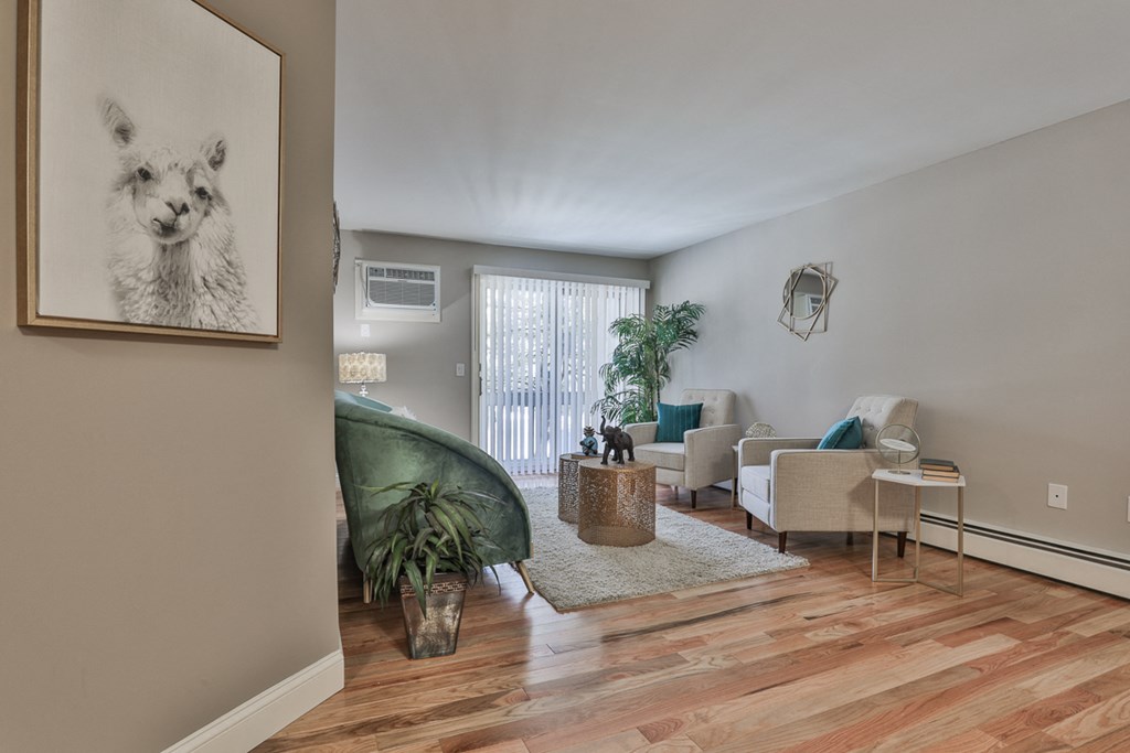 Apartment Living Room