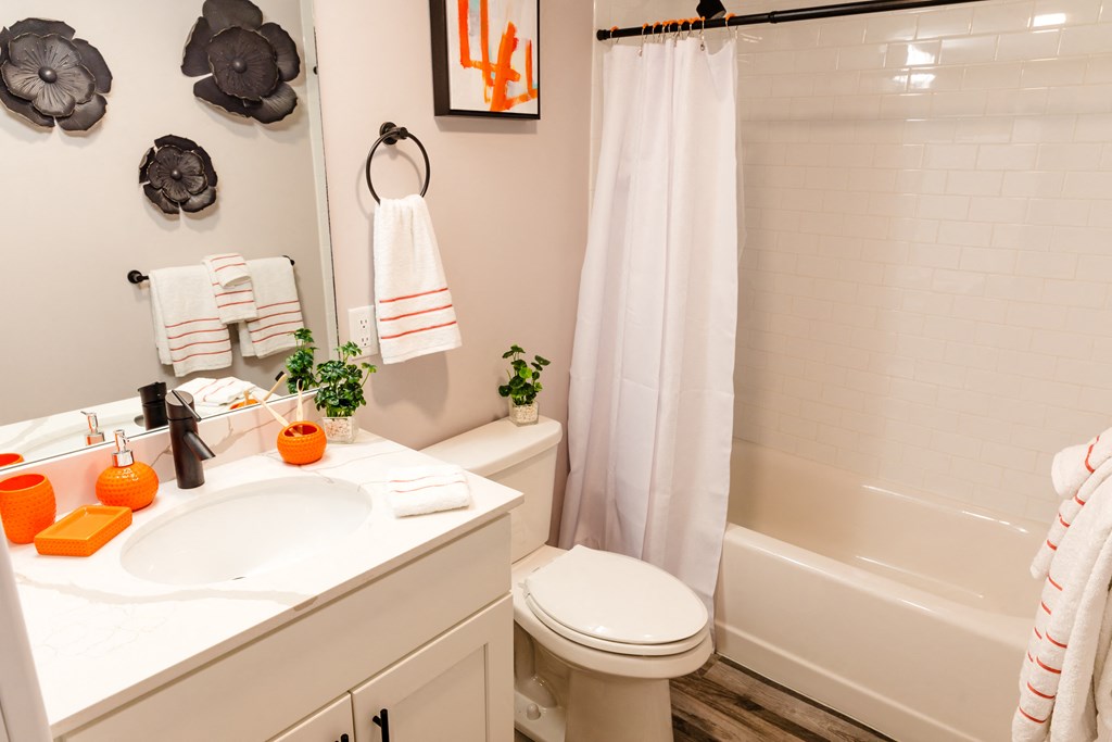 a bathroom with a sink and a toilet and a bath tub