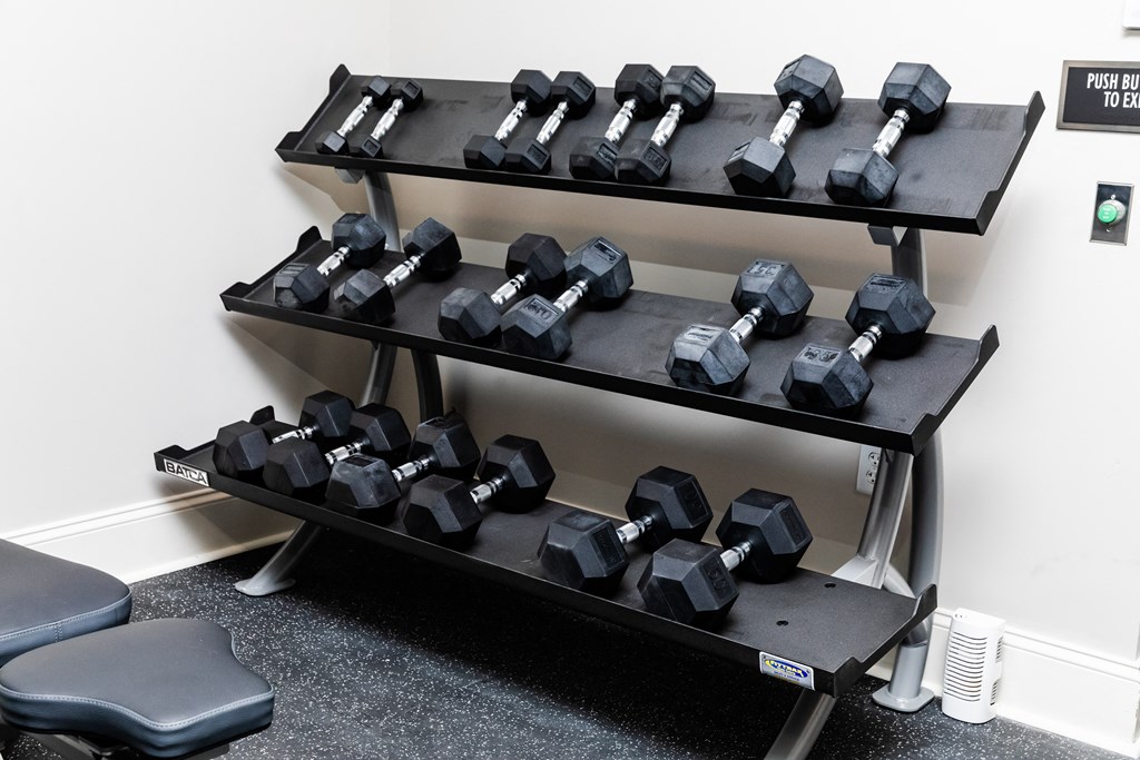 a rack of dumbbells in a gym