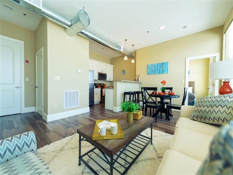 apartment for rent, Warren, Providence, Boston, 1 bedroom, 2 bedroom, 3 bedroom, luxury apartment, pet friendly, open floorplan,  hardwood floors