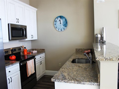 apartment for rent, Warren, Providence, Boston, 1 bedroom, 2 bedroom, 3 bedroom, luxury apartment, pet friendly, gourmet kitchen
