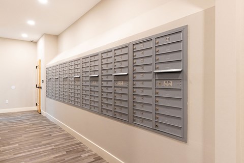 A wall of mailboxes is lined up against a wall.