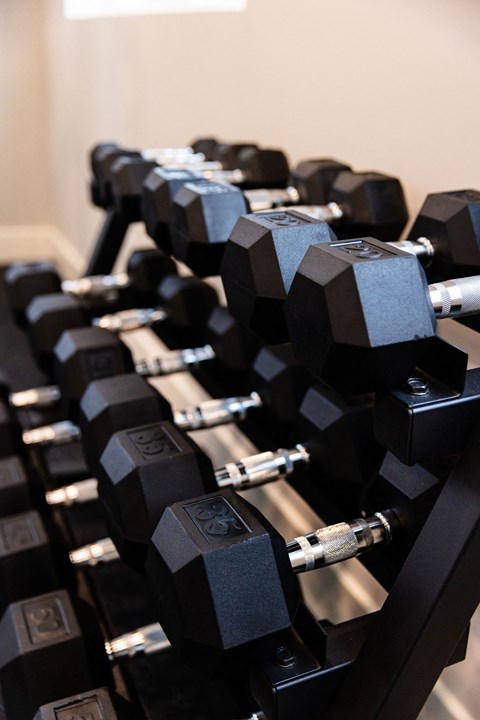 A set of black dumbbells are lined up on a rack.