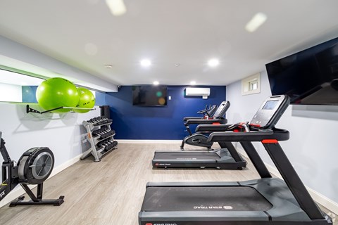 A gym with treadmills, elliptical machines, and a fan.