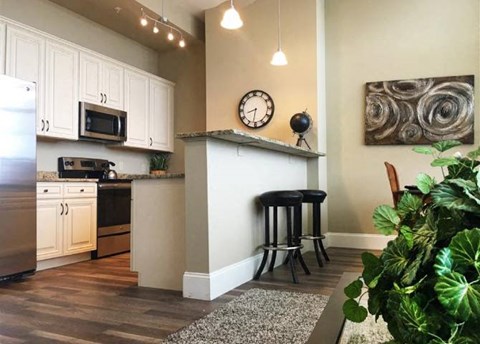 34 Franklin St Studio-4 Beds Apartment for Rent - Photo Gallery 39