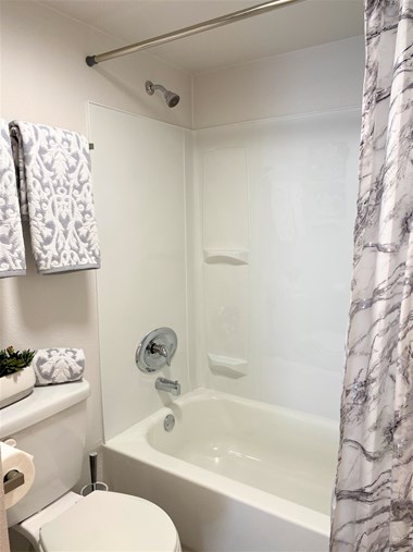 5145 N 7Th Street Studio-3 Beds Apartment for Rent - Photo Gallery 6