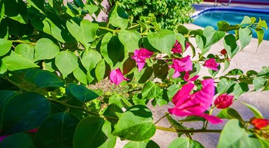 1609 W Glendale Avenue 2-3 Beds Apartment for Rent - Photo Gallery 17