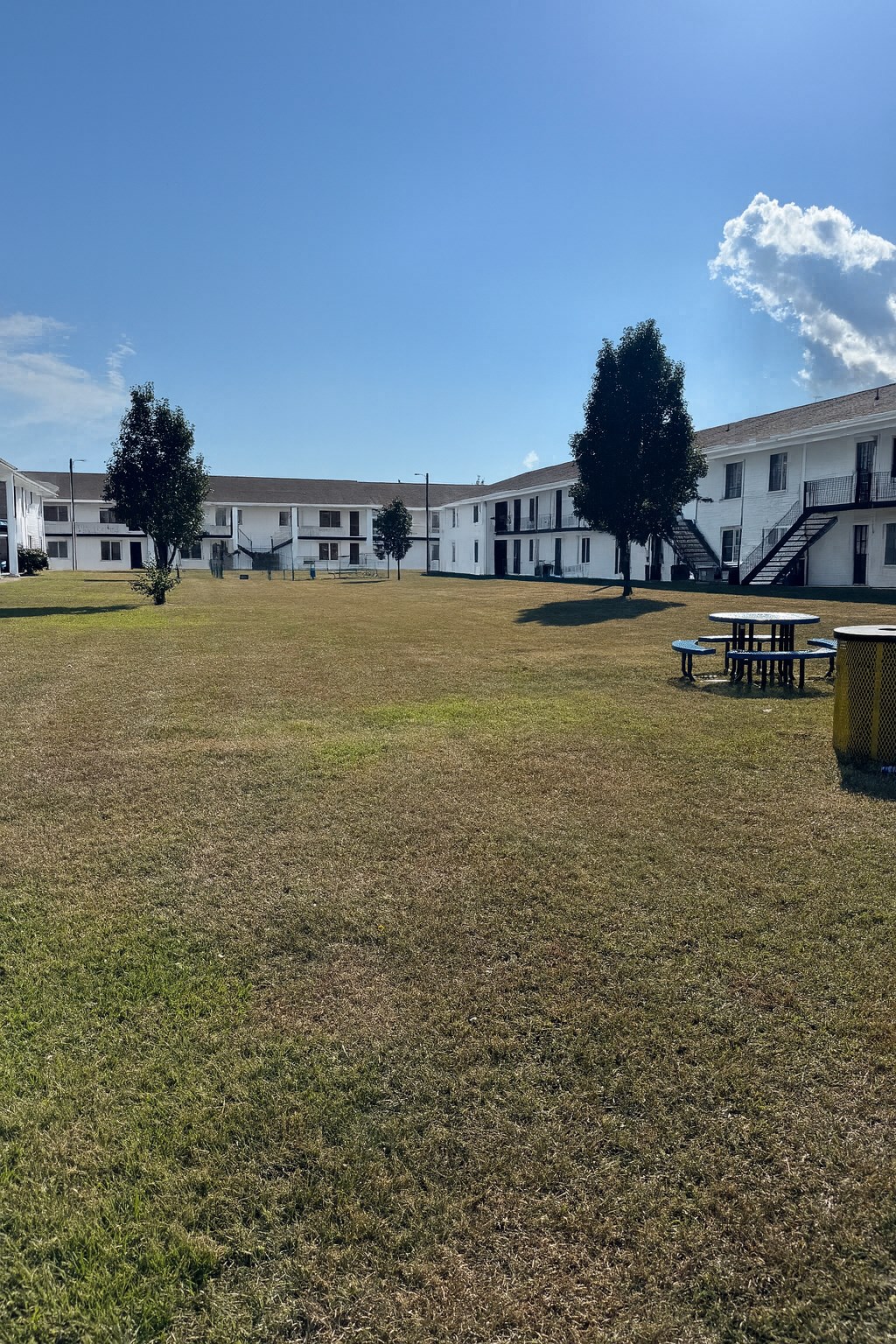A grassy field with a picnic table and a tree in front of a white building.