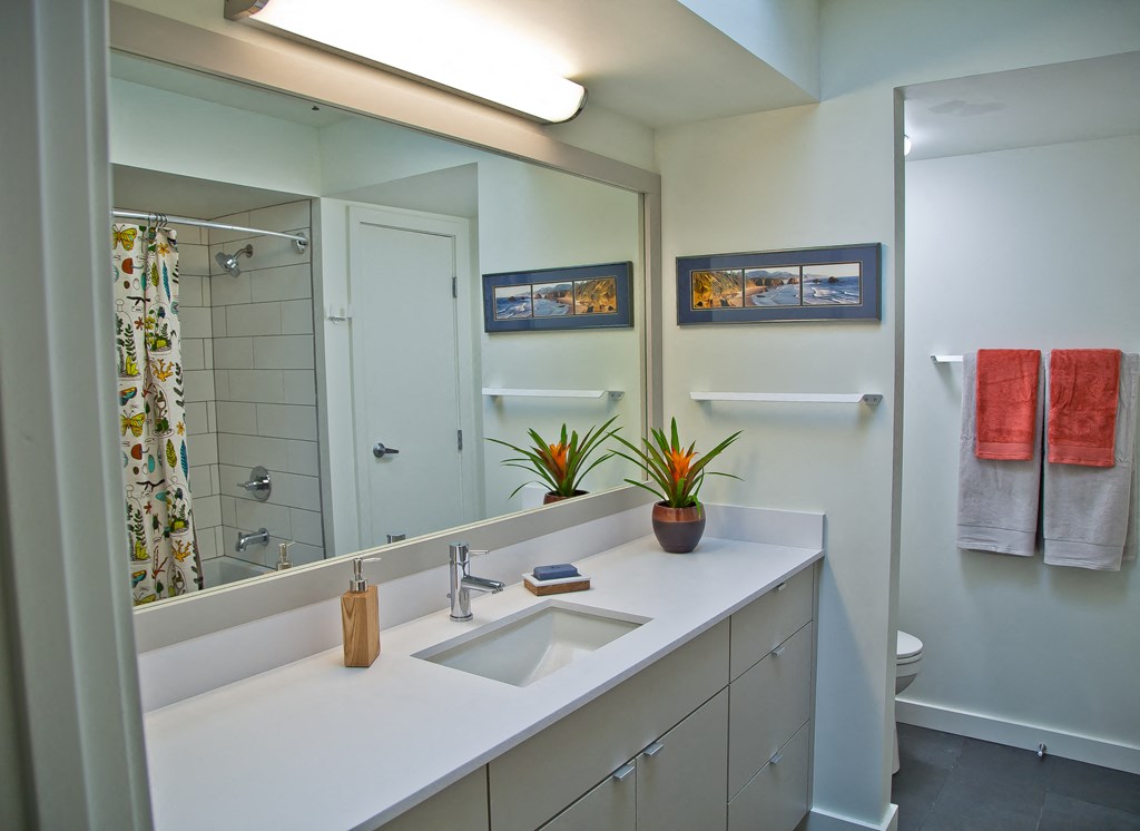 a bathroom with a sink and a shower and a mirror