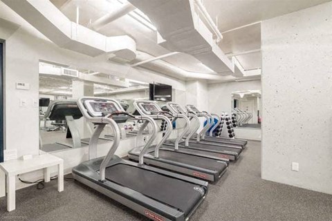 A row of treadmills in a gym.